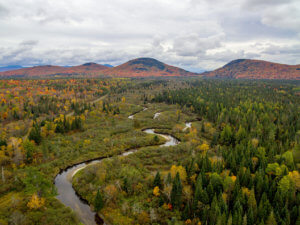 Nulhegan River in Vermont on the Northern Forest Canoe Trail