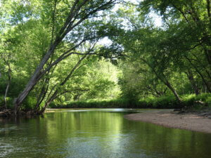 Upper Ammonoosuc River in New Hampshire above Cordwell Campsite, Josh Carroll