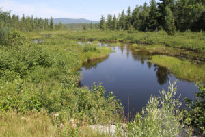 Nulhegan River