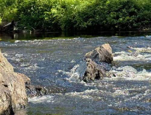 A Chill Trip Down the Kennebago