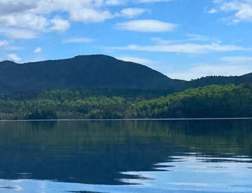 A Serene Day on Middle Saranac