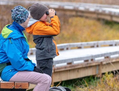 VT Trail Accessibility Hub to Host Collaborative Design Workshop