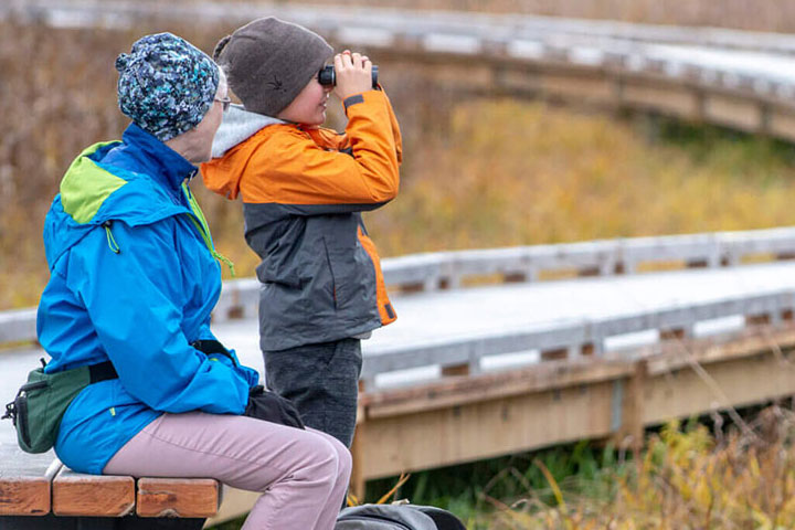 Child birdwatching