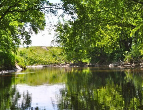 NFCT Tackles Projects on the Missisquoi