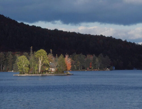 Fulton Chain of Lakes