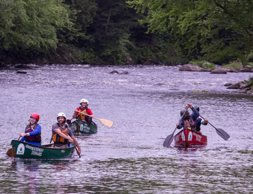 Saranac River: Permanent Rapids