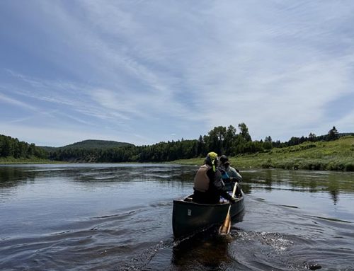 St. John River: Allagash Village to Fort Kent
